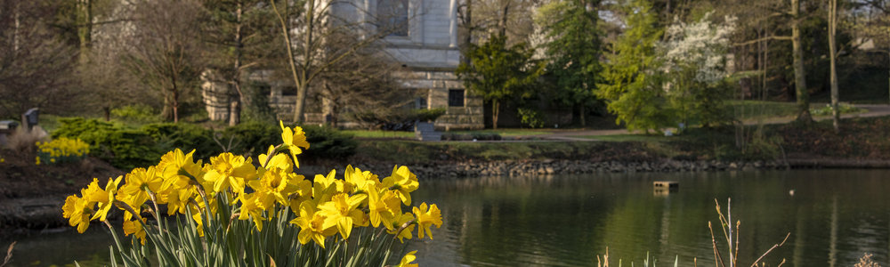 Lake View in Bloom Walk