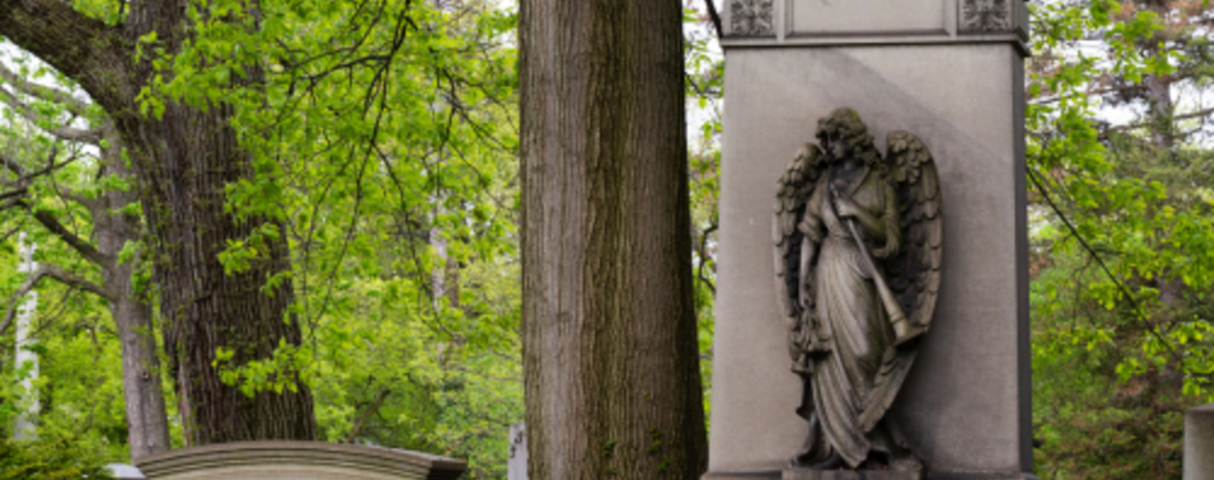 Classically Lake View